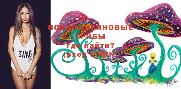 экстази Абаза