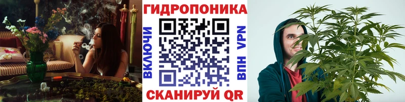 гидра зеркало  Чулым  Конопля ГИДРОПОН  купить  